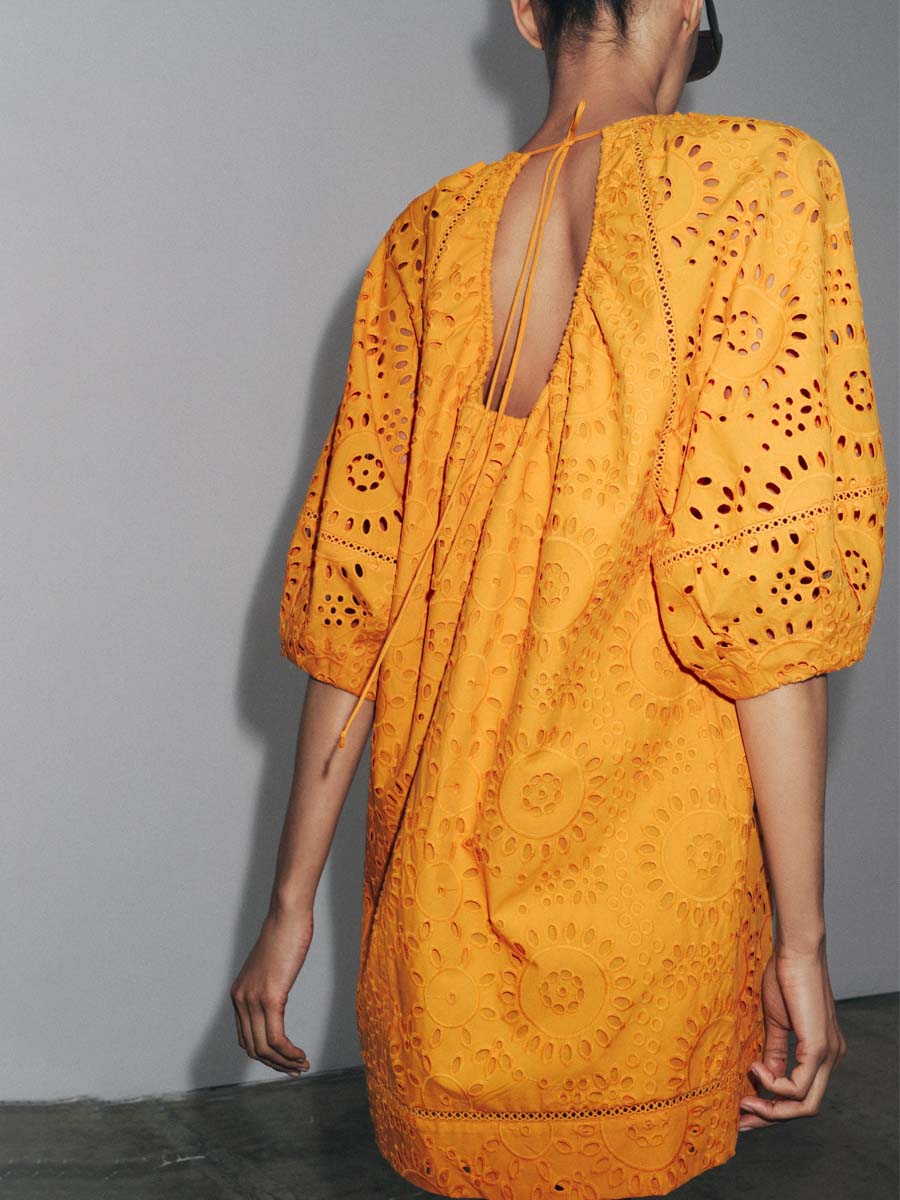 Lace Embroidered Mini Dress