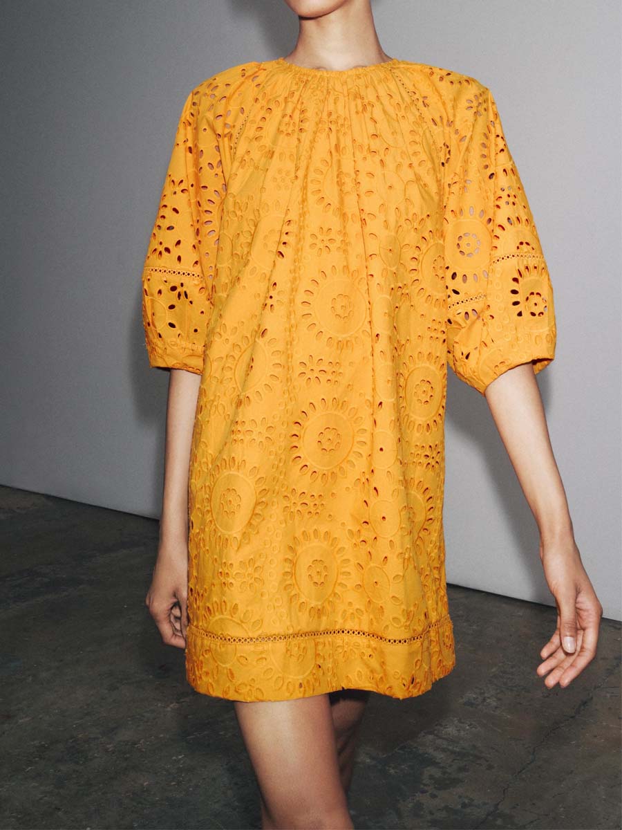 Lace Embroidered Mini Dress