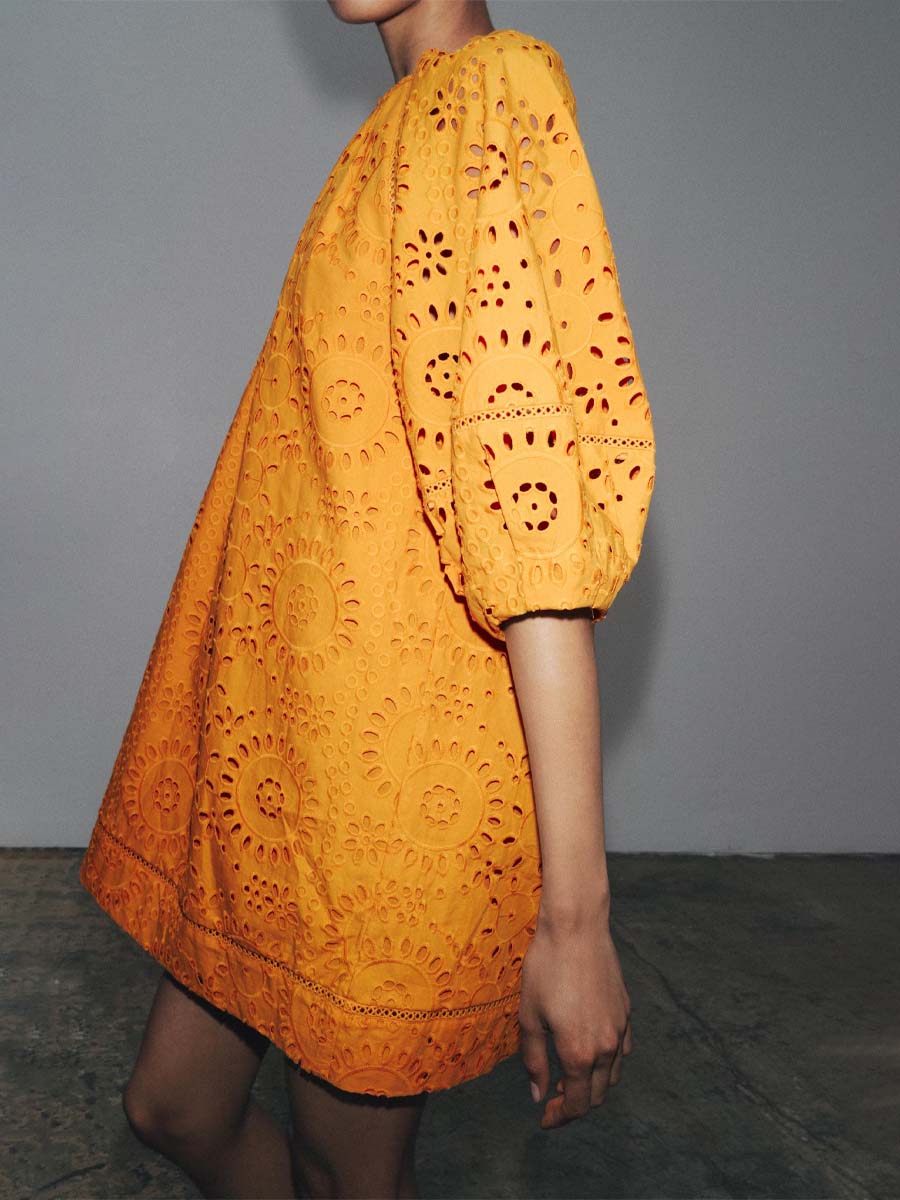 Lace Embroidered Mini Dress