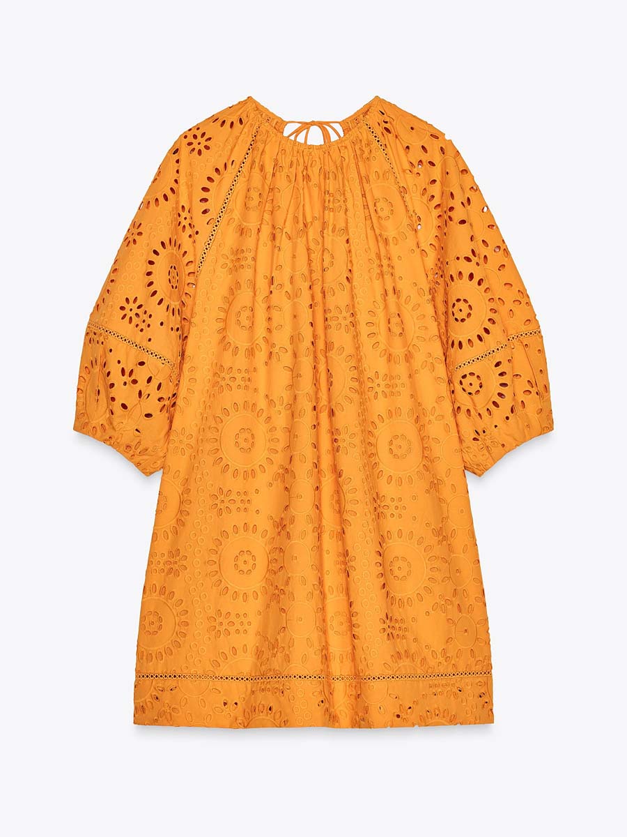 Lace Embroidered Mini Dress