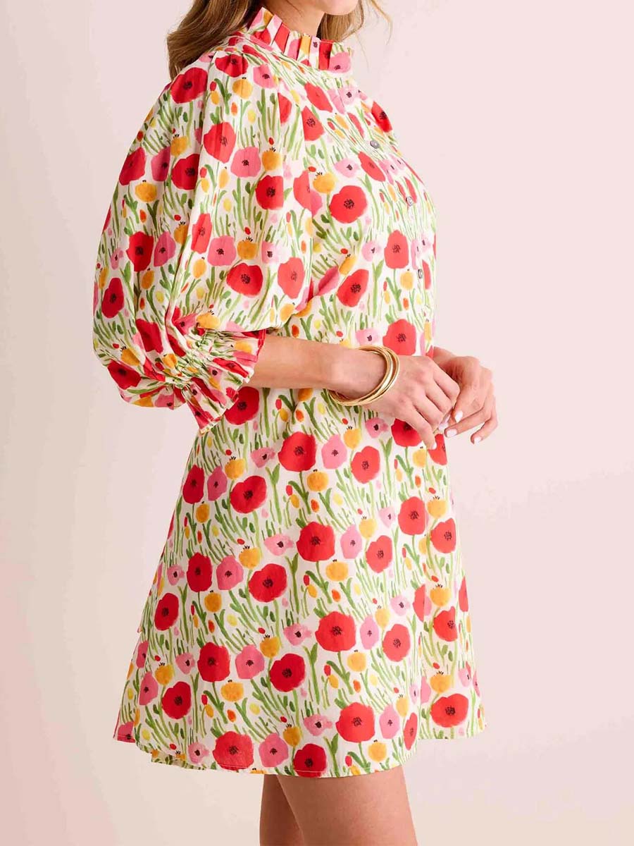 Floral Print Ruffled Collar Mini Dress