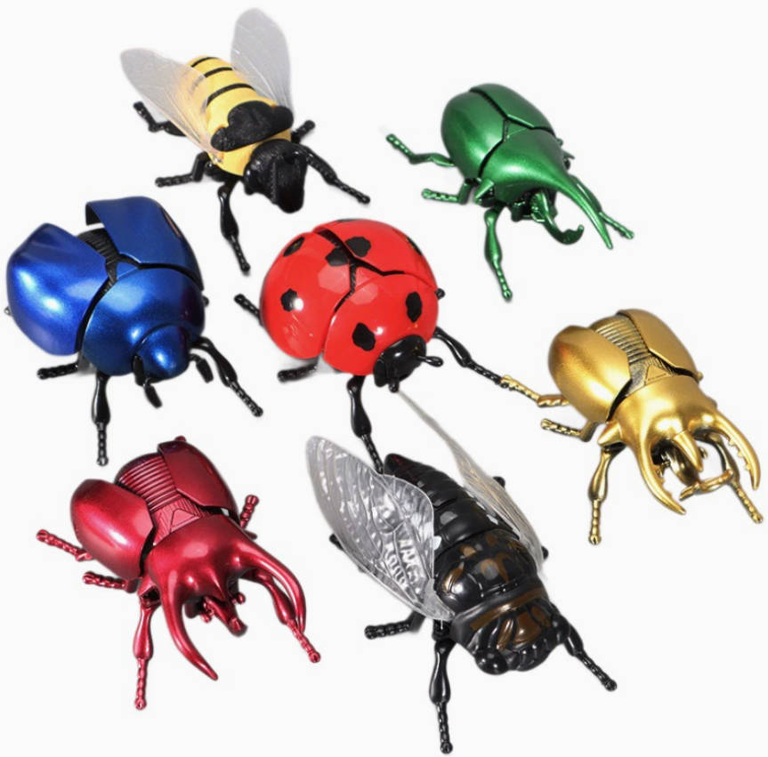 Wind-Up Beetle Set