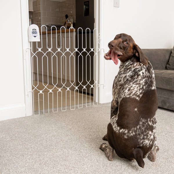 DOG Plus Stairway/Doorway