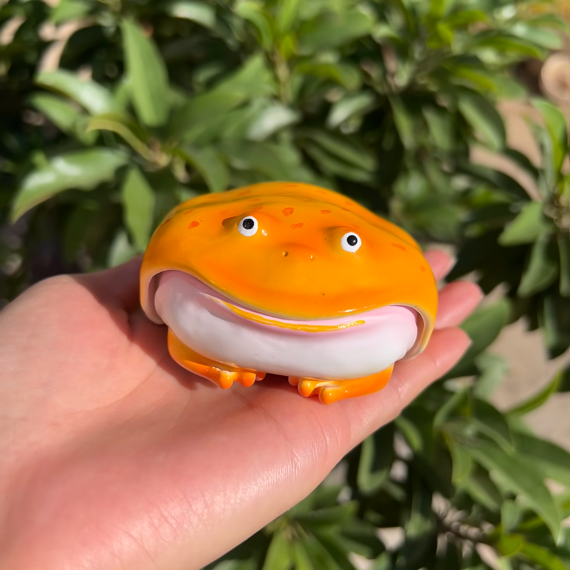 The Ugly Frog Airpods Case