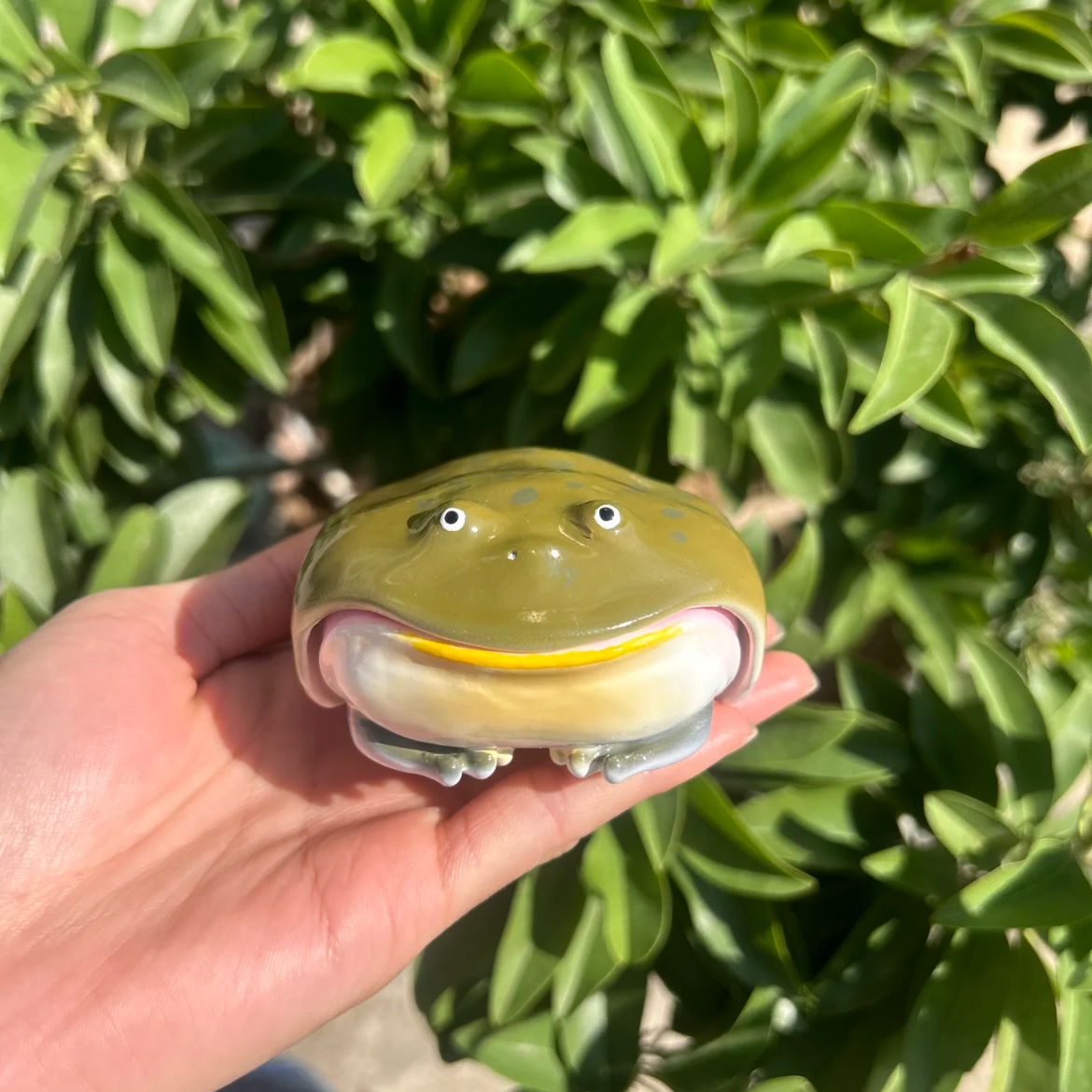 The Ugly Frog Airpods Case