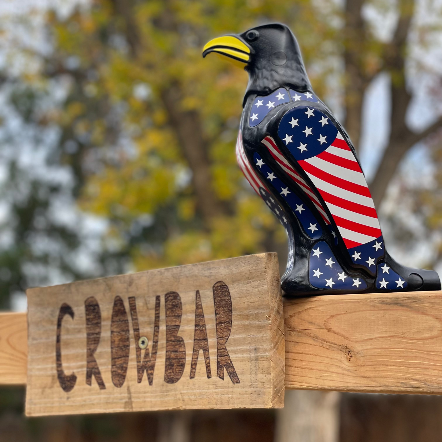 America's Freedom Funnel - Eagle Shaped