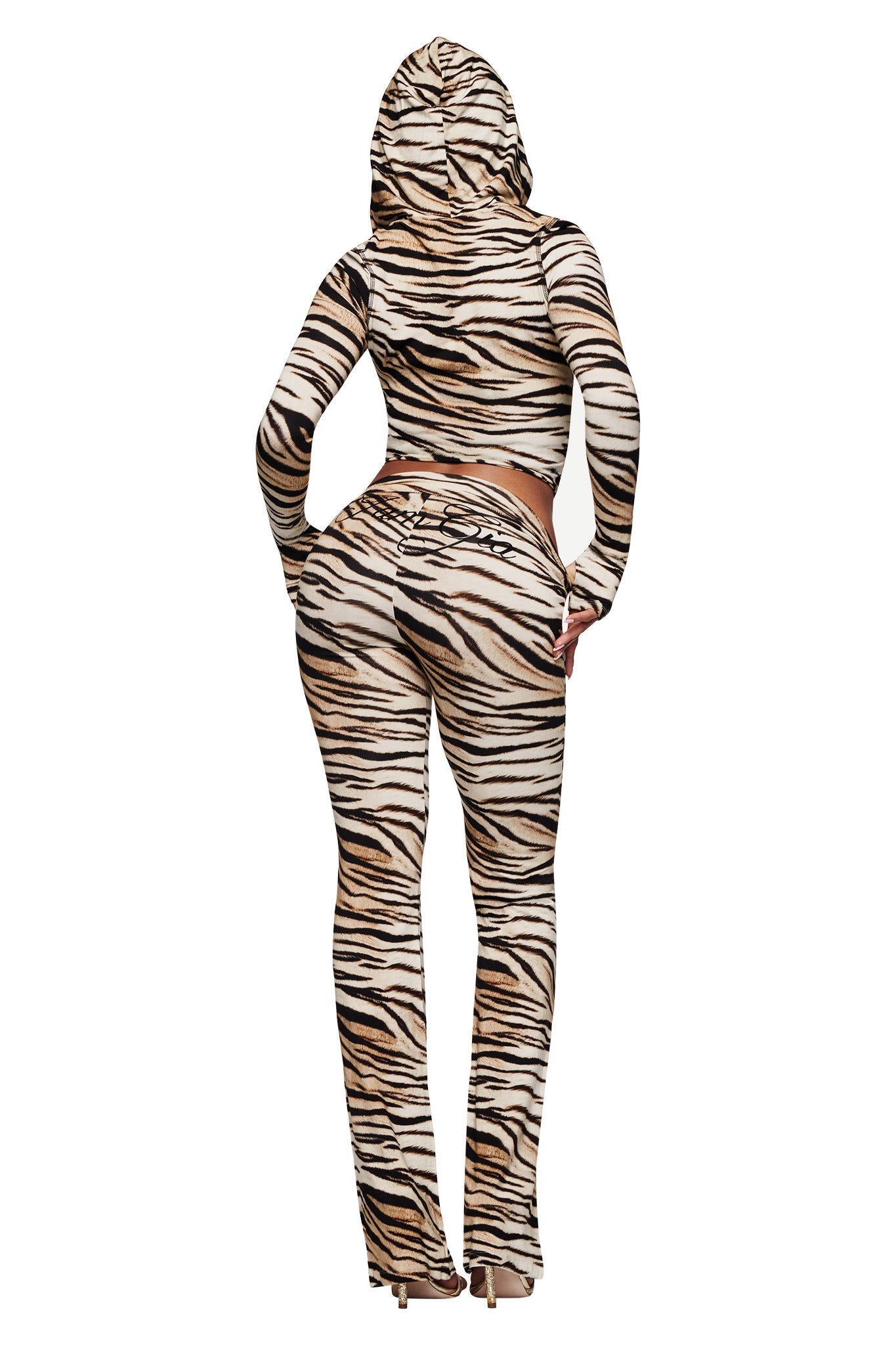 BLARE TRACKPANT - LIGHT TIGRESS