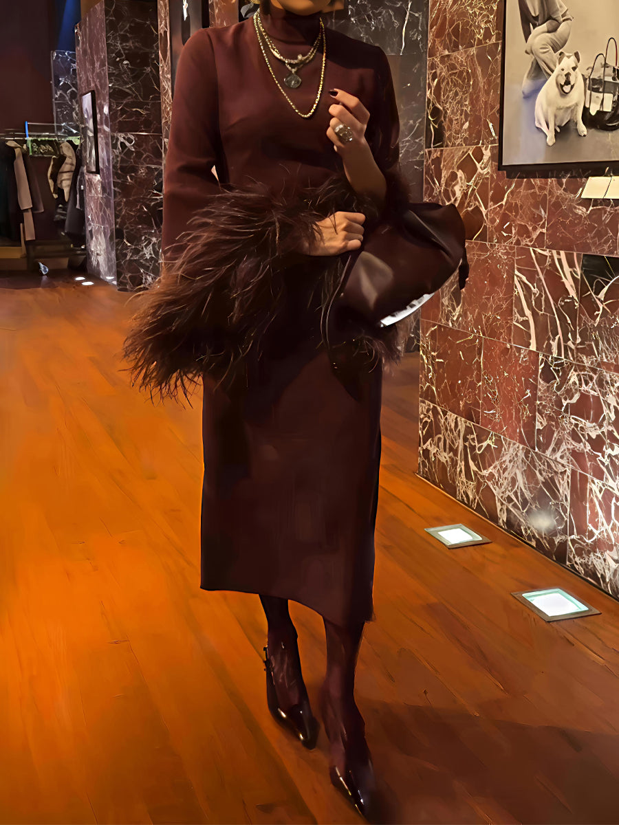 Feather Trim Stand-up Collar Elegant Dress