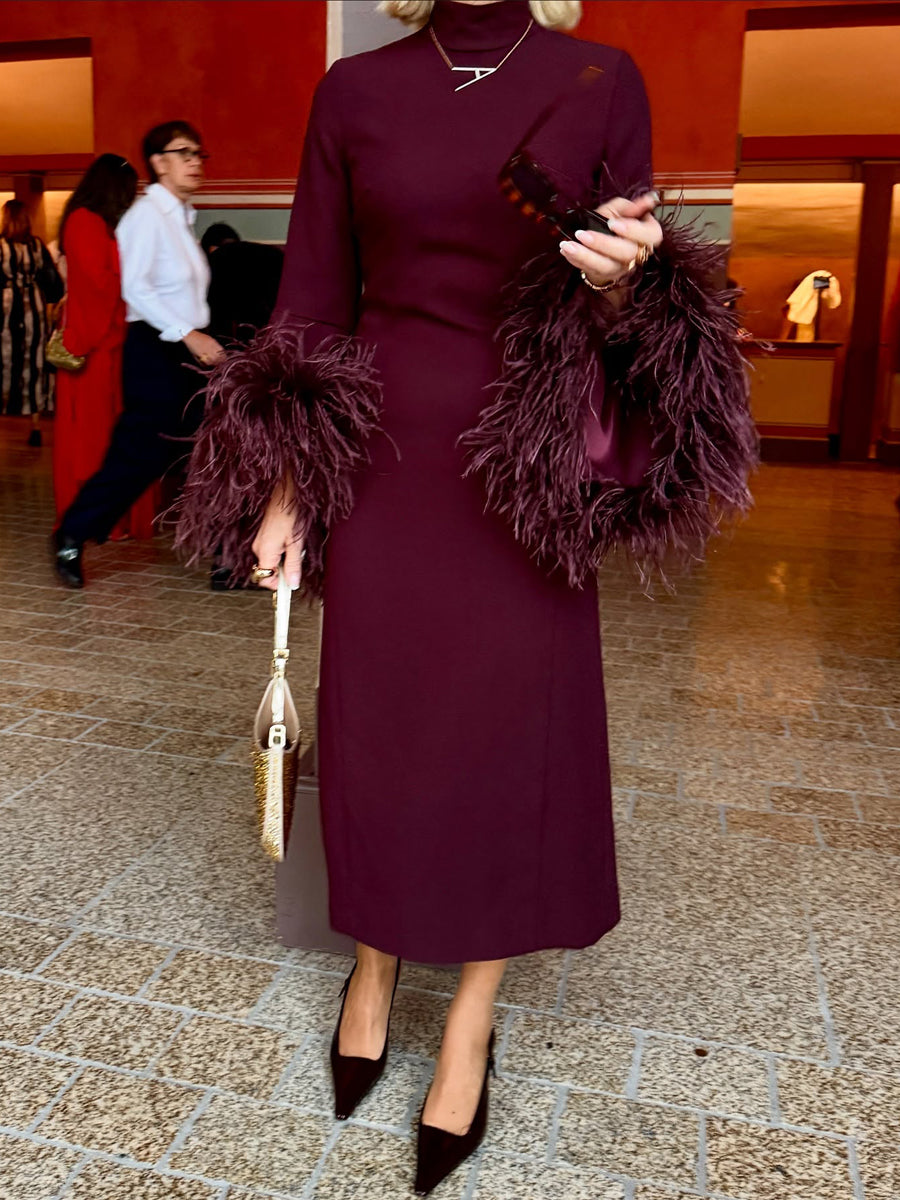 Feather Trim Stand-up Collar Elegant Dress